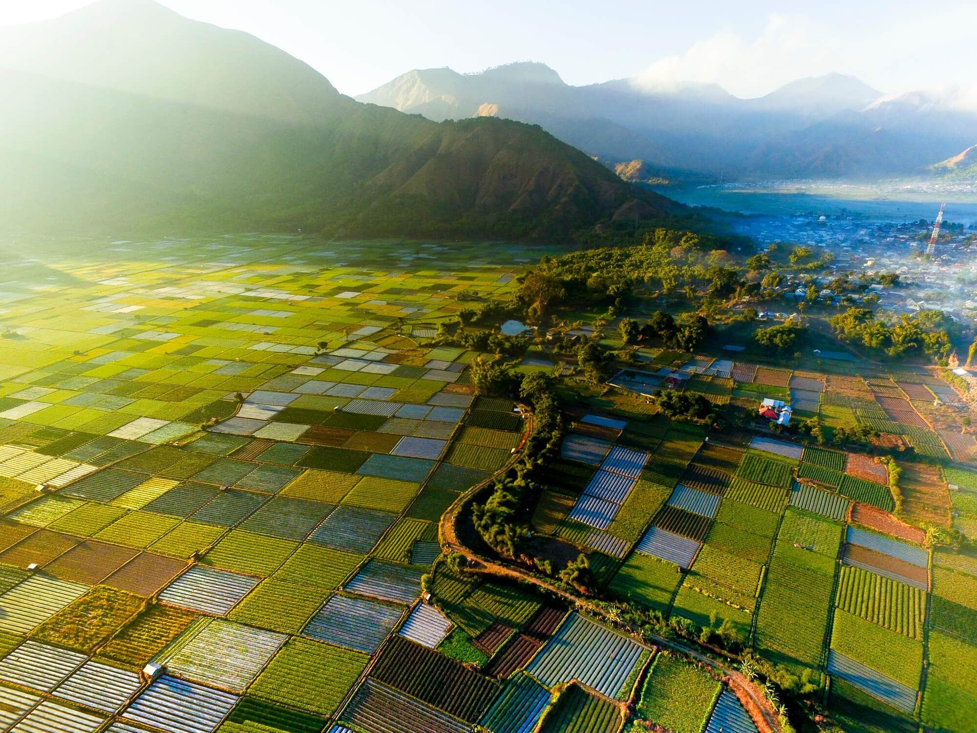 Mount Rinjani en het binnenland van Lombok in de ochtendmist